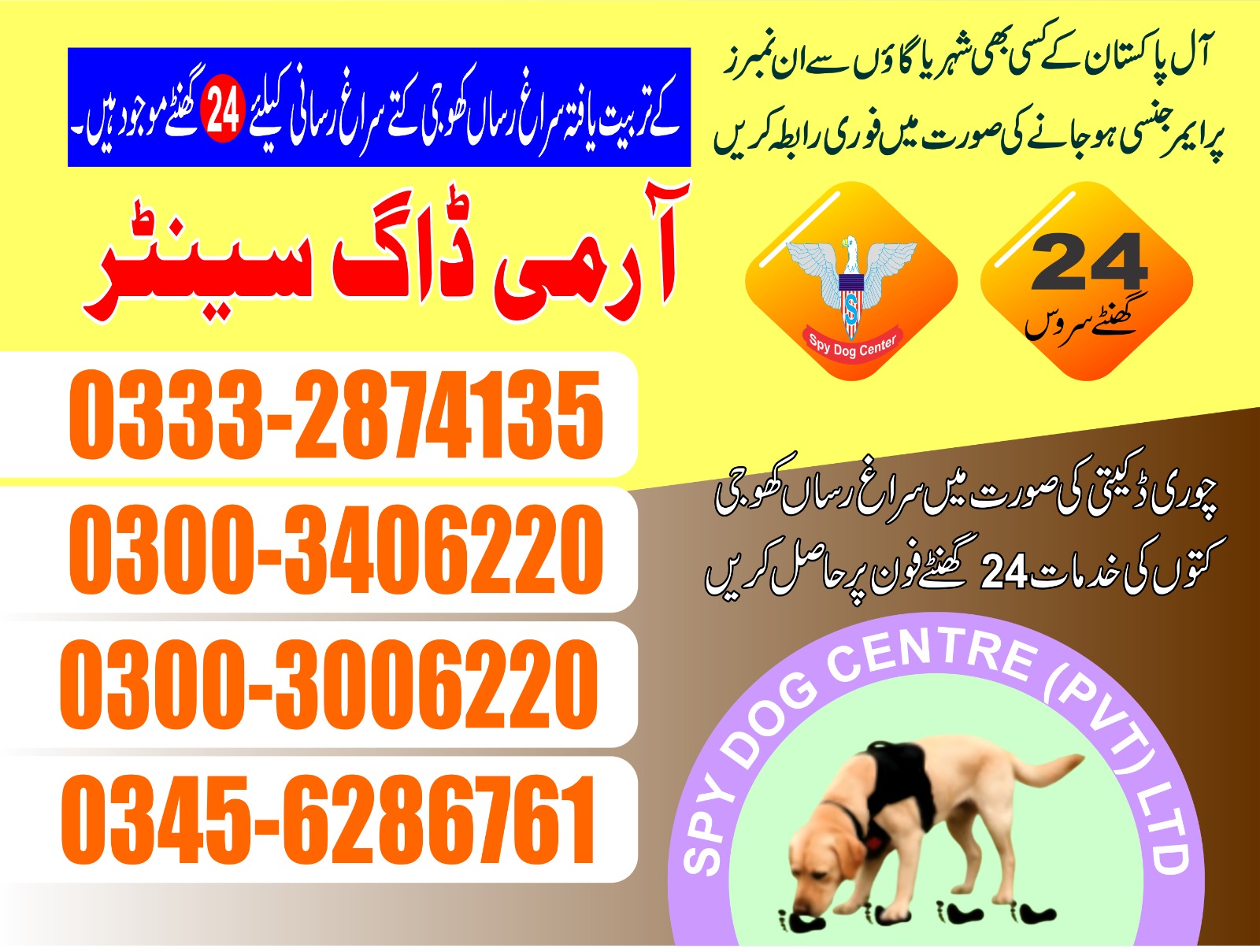 Professional Army Dog Center DEONA MANDI - Trained German Shepherd for Security Services