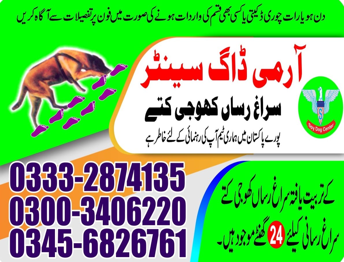 Professional Army Dog Center DERA GHAZI KHAN - Trained German Shepherd for Security Services