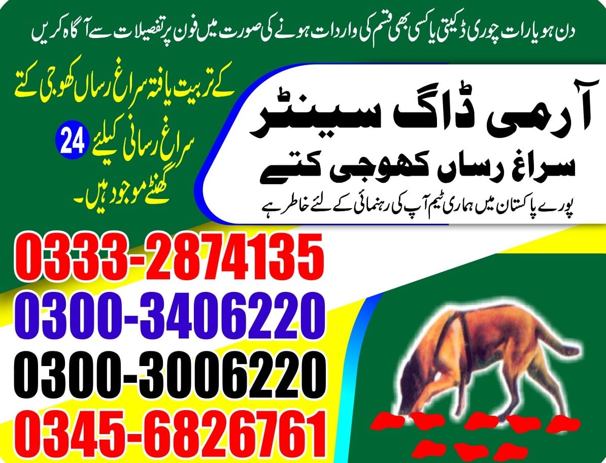 Professional Army Dog Center DERA ISMAIL KHAN - Trained German Shepherd for Security Services