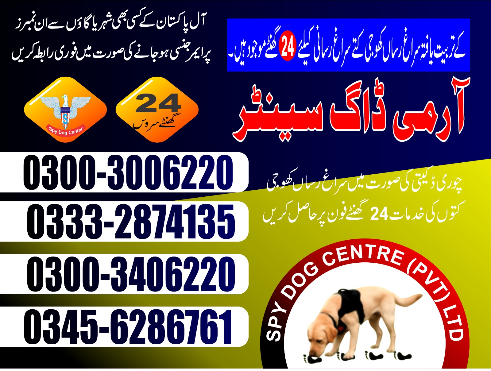 Professional Army Dog Center FAISALABAD - Trained German Shepherd for Security Services