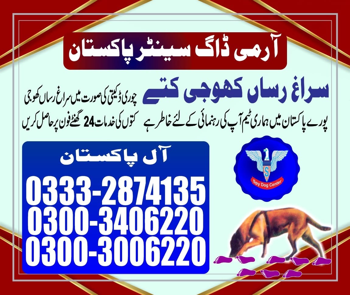 Professional Army Dog Center GUJAR KHAN - Trained German Shepherd for Security Services