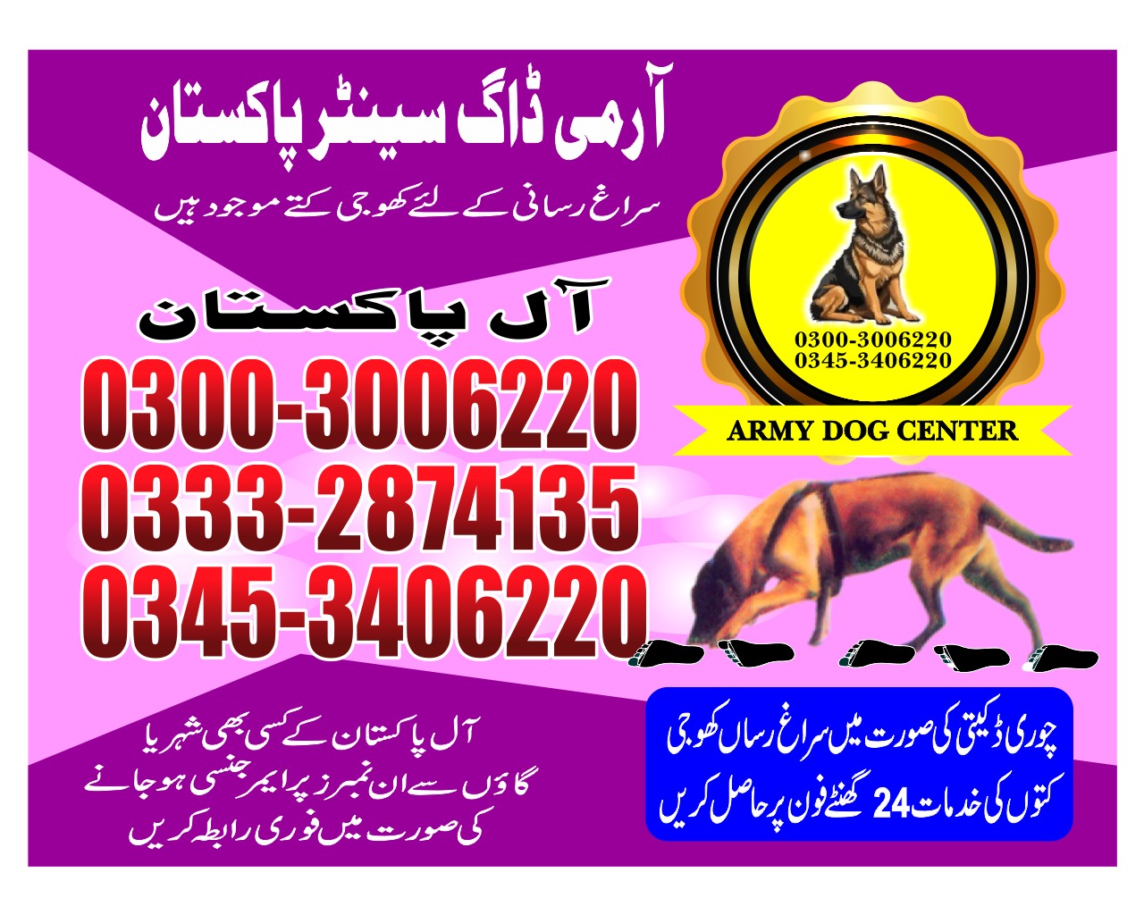 Professional Army Dog Center GUJRAT - Trained German Shepherd for Security Services