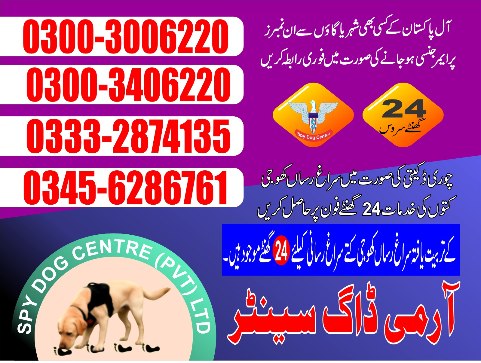 Professional Army Dog Center HAROONABAD - Trained German Shepherd for Security Services