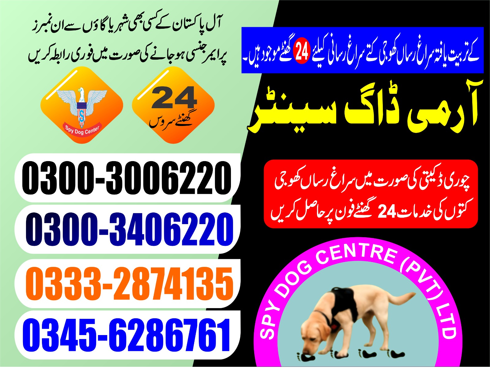 Professional Army Dog Center ISLAMABAD - Trained German Shepherd for Security Services