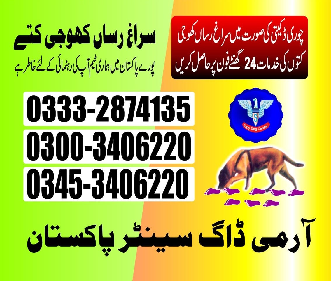 Professional Army Dog Center KALA SHAH KAKU - Trained German Shepherd for Security Services