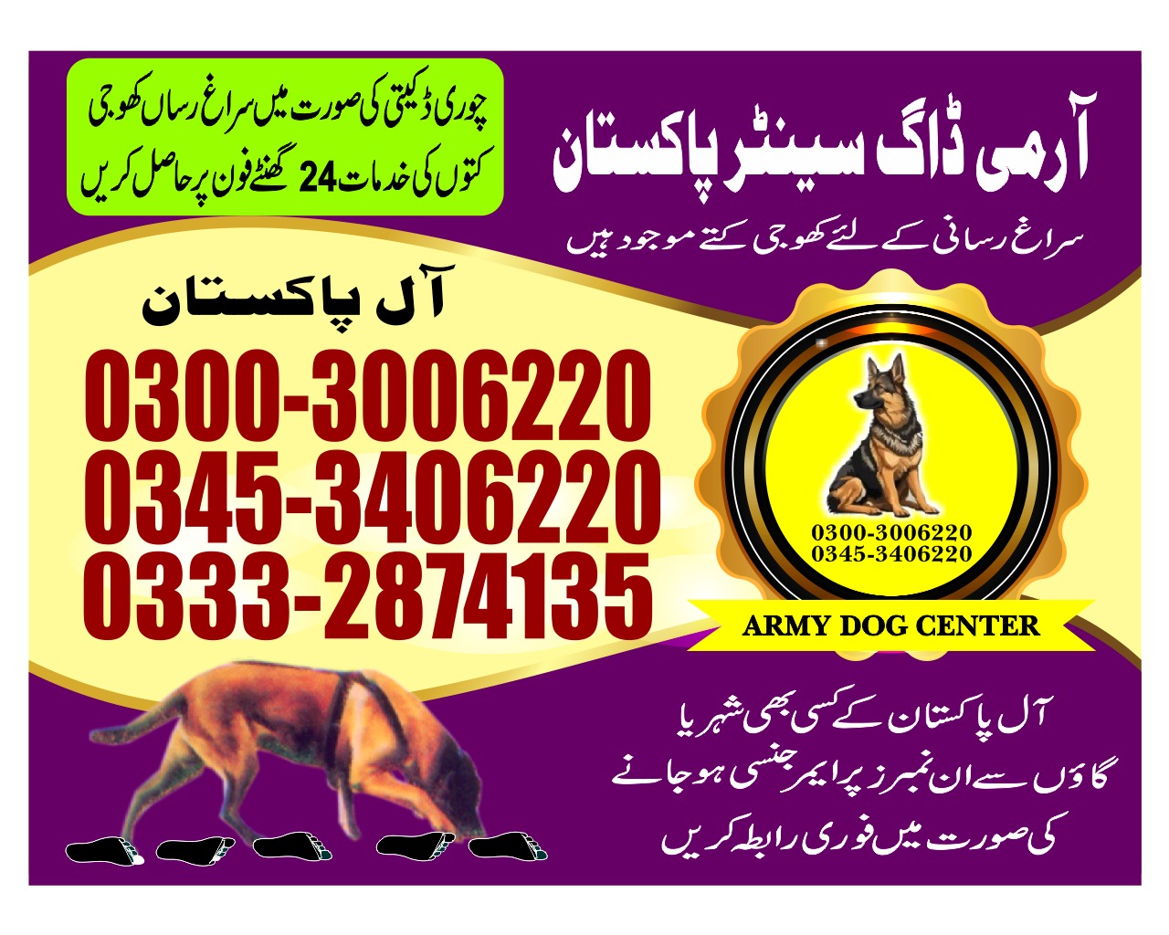 Professional Army Dog Center KALLAR SYEDAN - Trained German Shepherd for Security Services