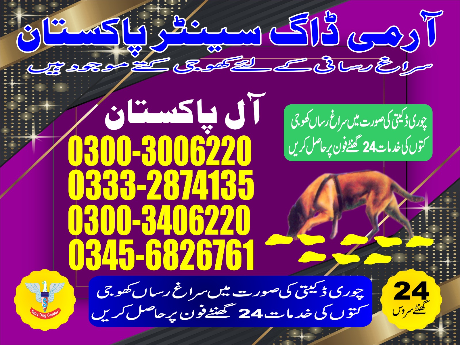 Professional Army Dog Center MAINWALI - Trained German Shepherd for Security Services