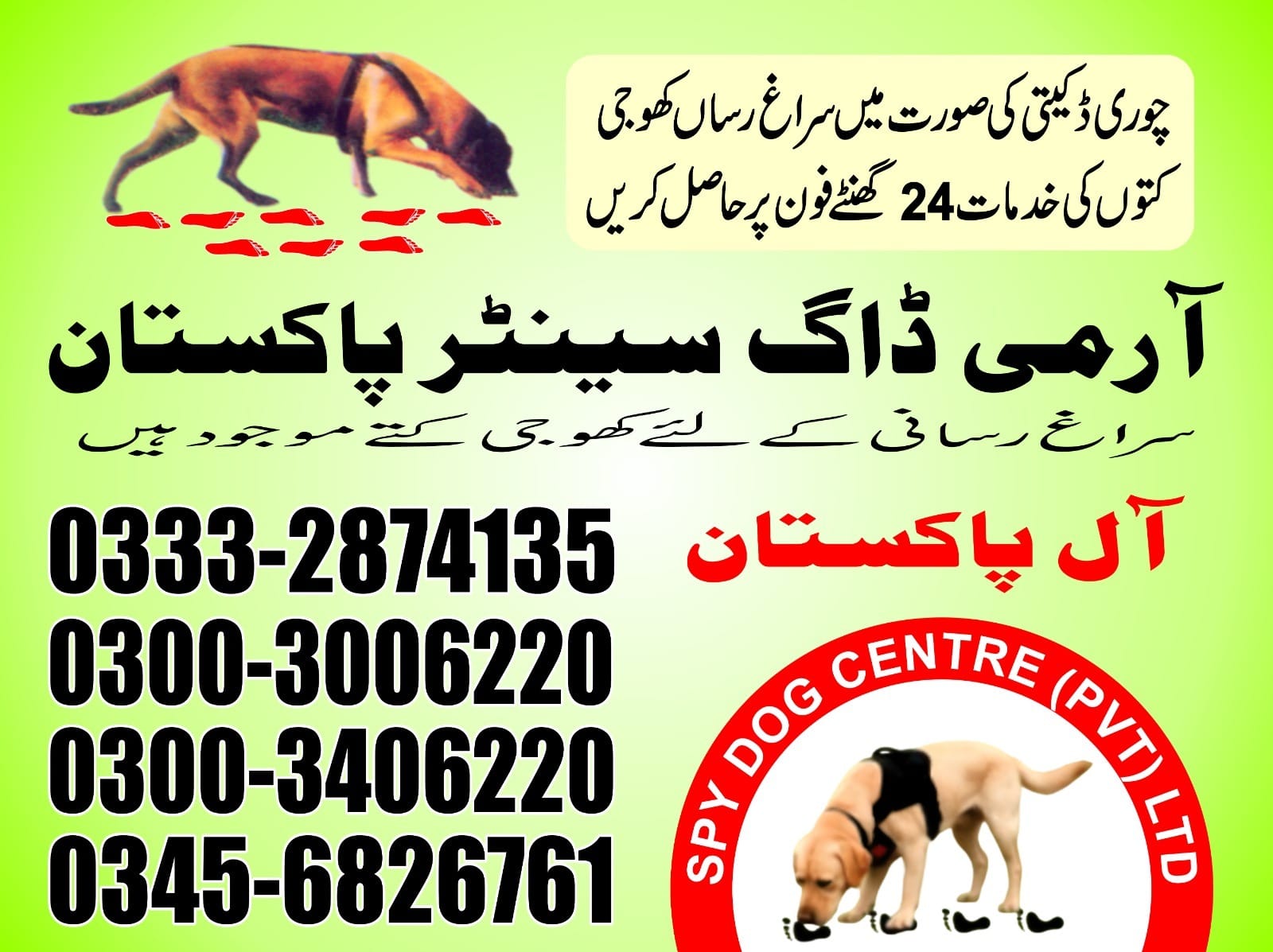 Professional Army Dog Center MANDI BAHAUDDIN - Trained German Shepherd for Security Services