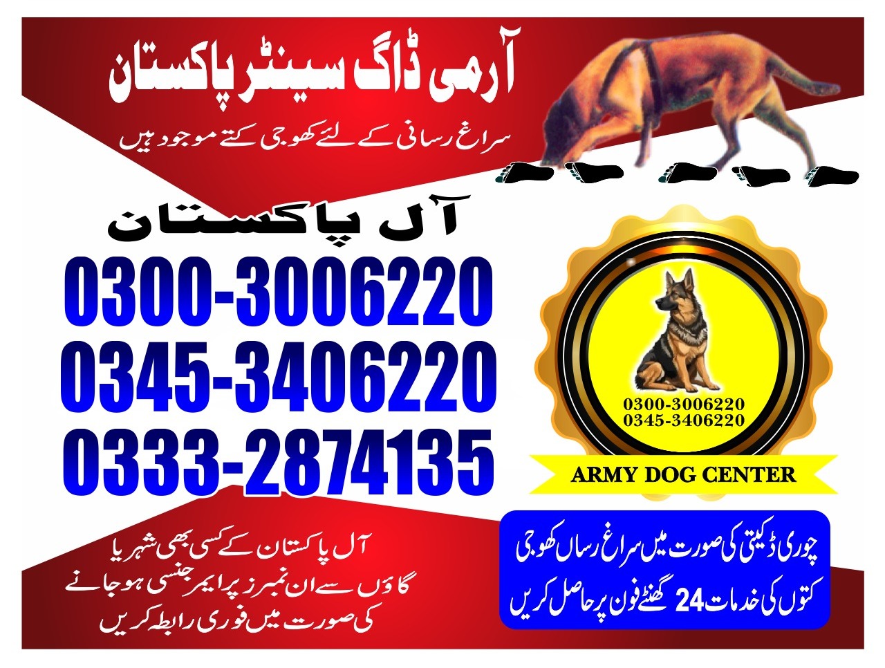 Professional Army Dog Center MANDRA - Trained German Shepherd for Security Services