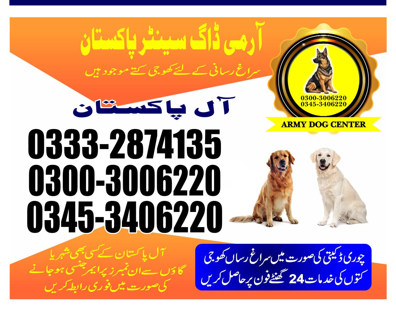 Professional Army Dog Center RAHIM YAR KHAN - Trained German Shepherd for Security Services