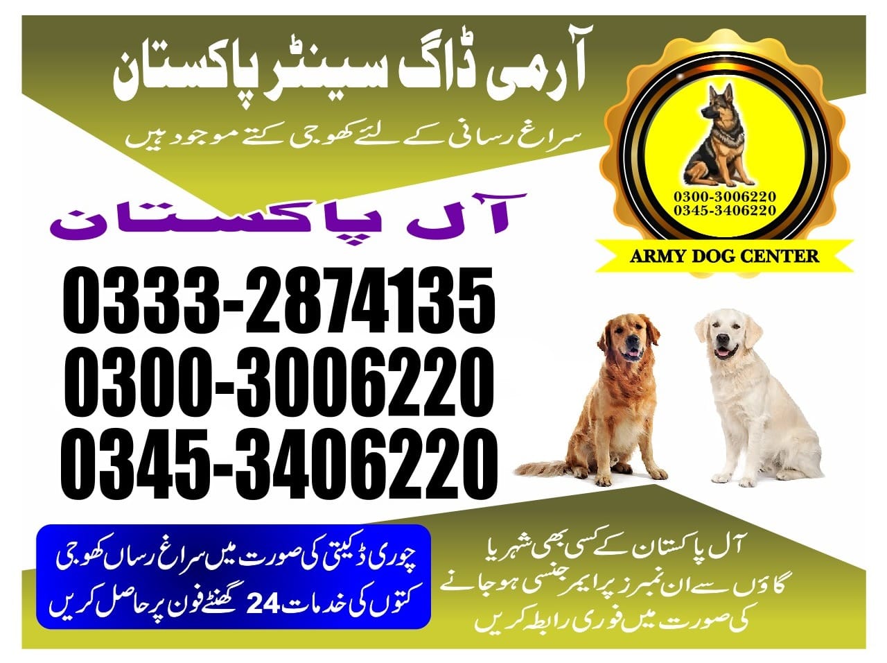 Professional Army Dog Center RAHWALI CANTT - Trained German Shepherd for Security Services