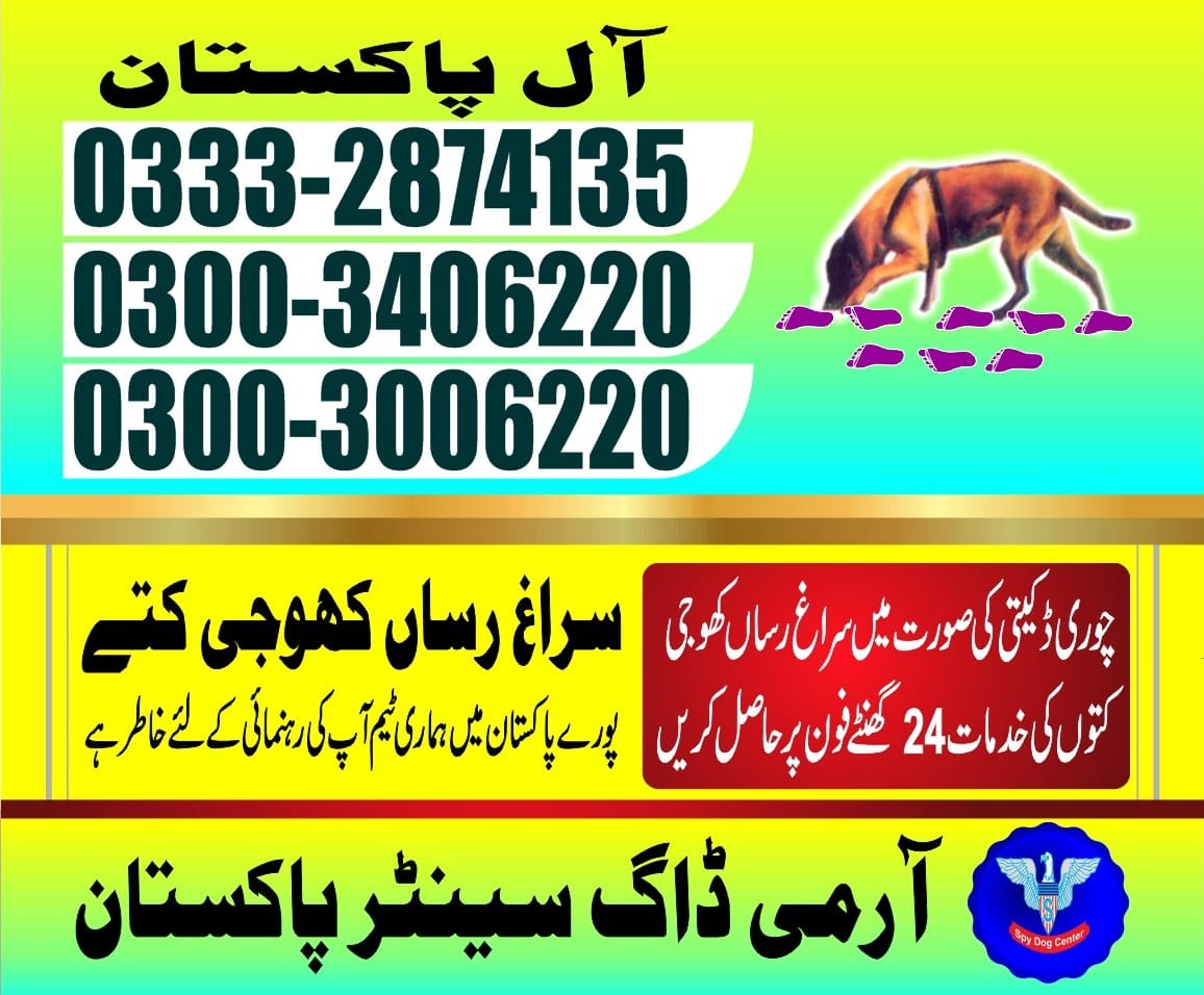 Professional Army Dog Center ROHTAS FORT - Trained German Shepherd for Security Services