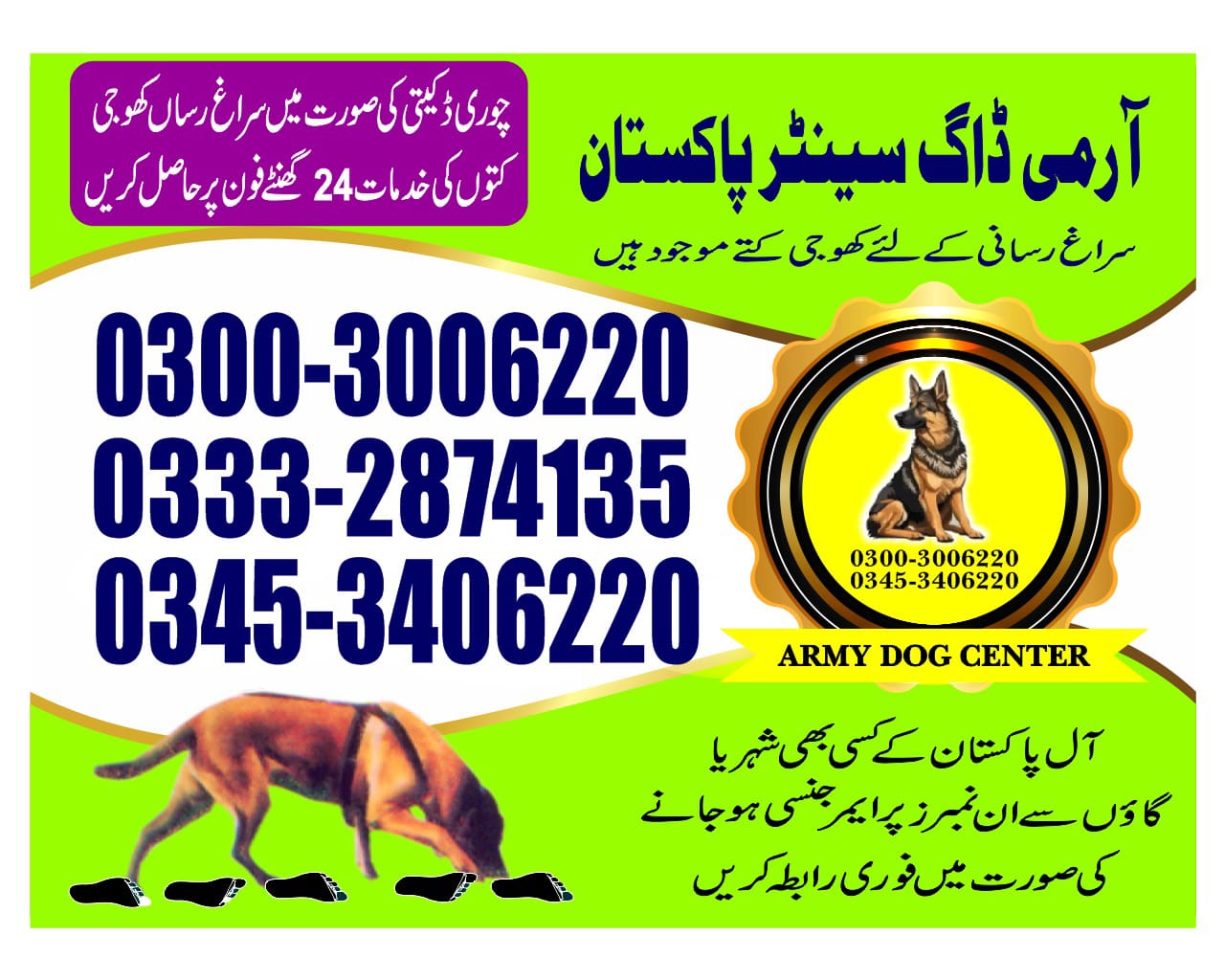 Professional Army Dog Center SADQABAD - Trained German Shepherd for Security Services