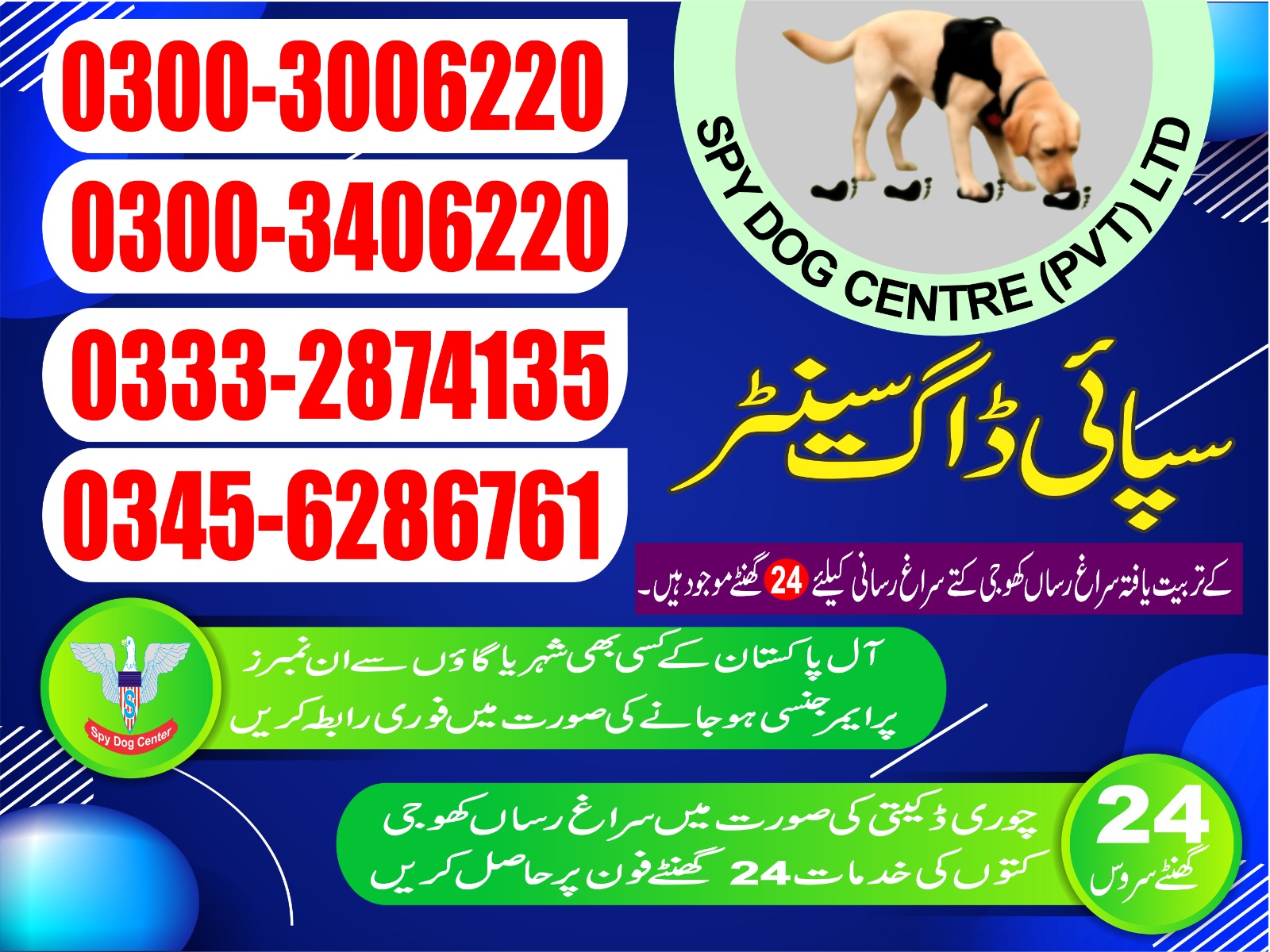 Professional Army Dog Center SANGLA HILL - Trained German Shepherd for Security Services