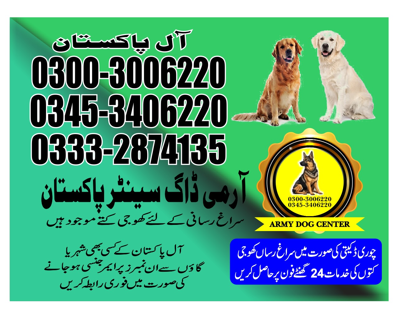 Professional Army Dog Center SHEIKHUPURA - Trained German Shepherd for Security Services
