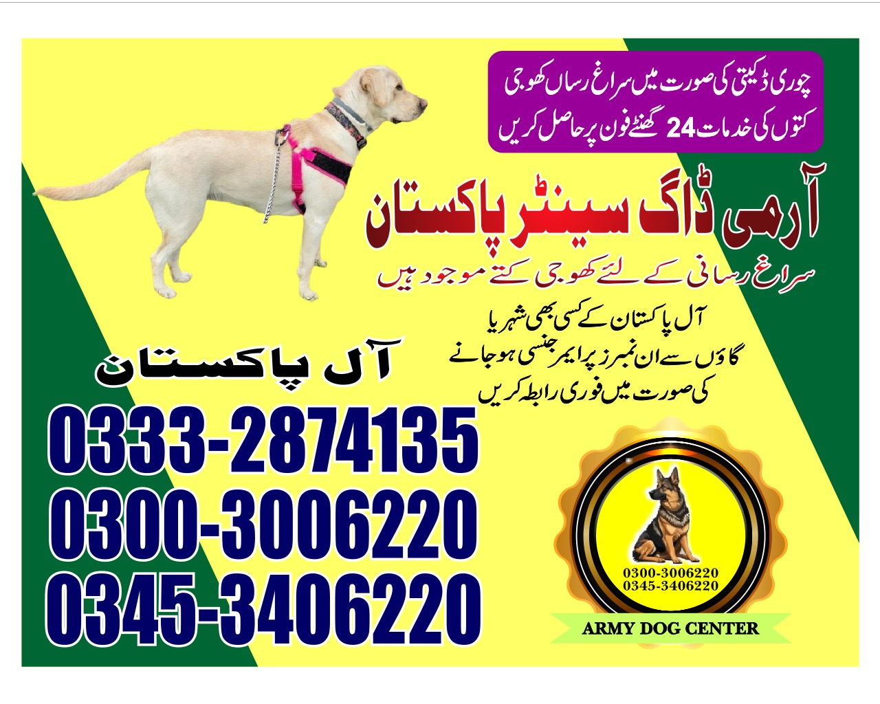 Professional Army Dog Center UBAURO - Trained German Shepherd for Security Services