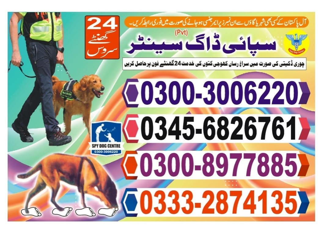 Army Dog Center 🐕 Malir cantt karachi  24/7 03001690800