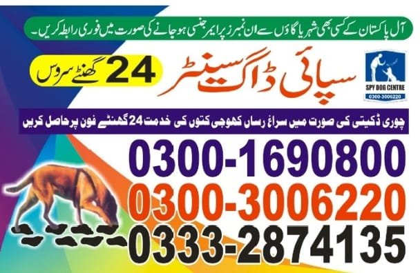 Army Dog Center 🐕 mirpur 24/7 03001690800