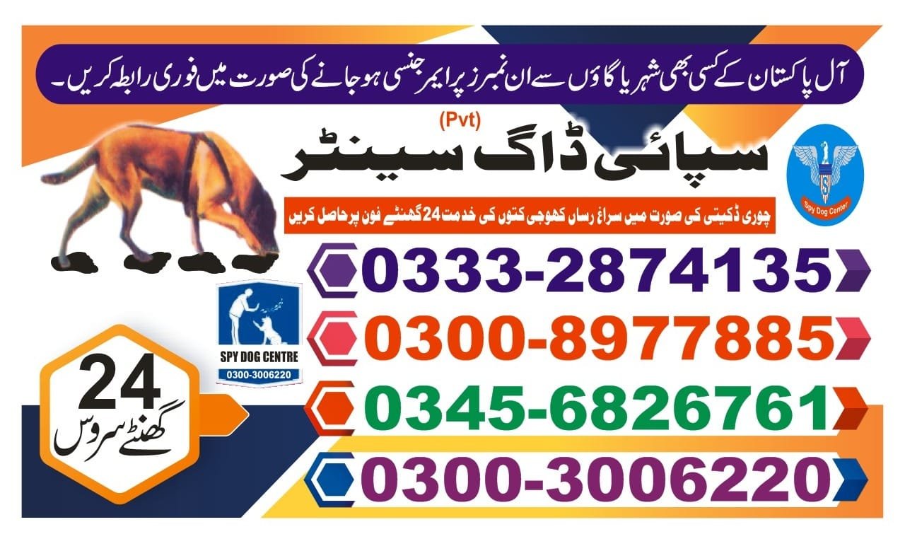Army Dog Center | mir pur  bhathoroPakistan | 24/7 | 03332874135