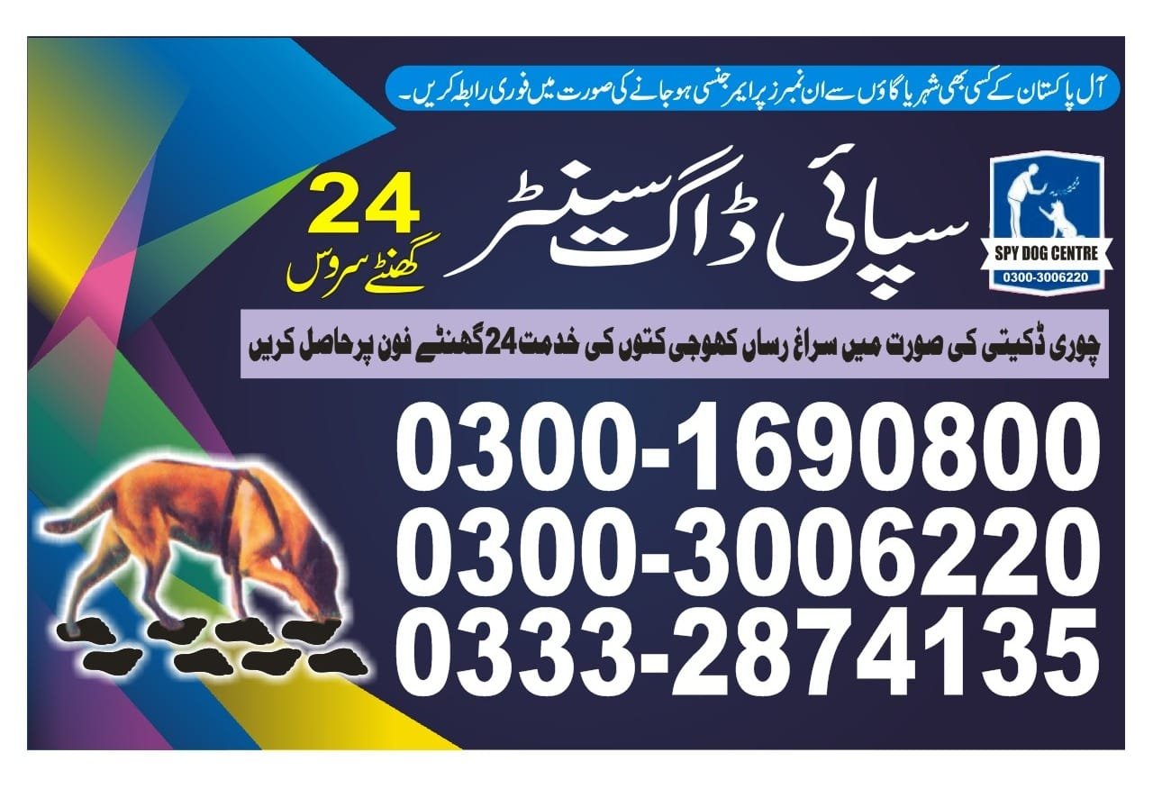 Army Dog Cente r Tando  jam| Pakistan | 24/7 | 03332874135
