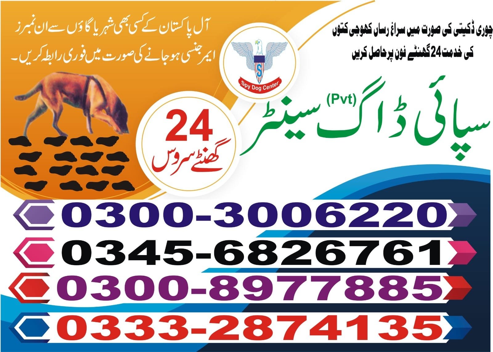 Army Dog Center Shahdadpur| Pakistan | 24/7 | 03332874135