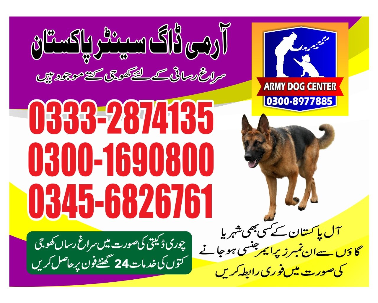 Army Dog Center Ratodero | Pakistan | 24/7 | 03332874135