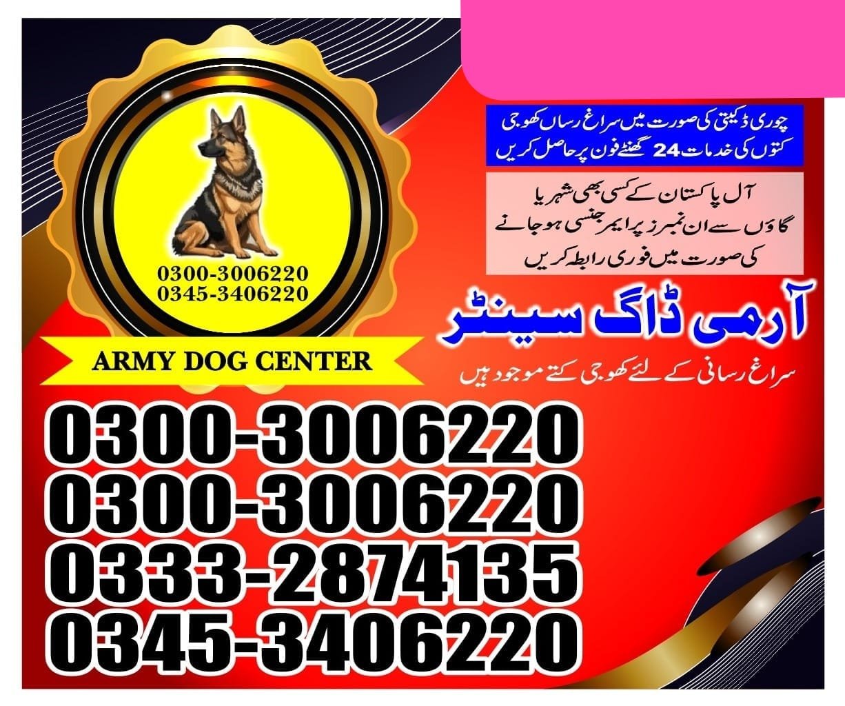 Army Dog center | dadu24/7 | 03332874135
