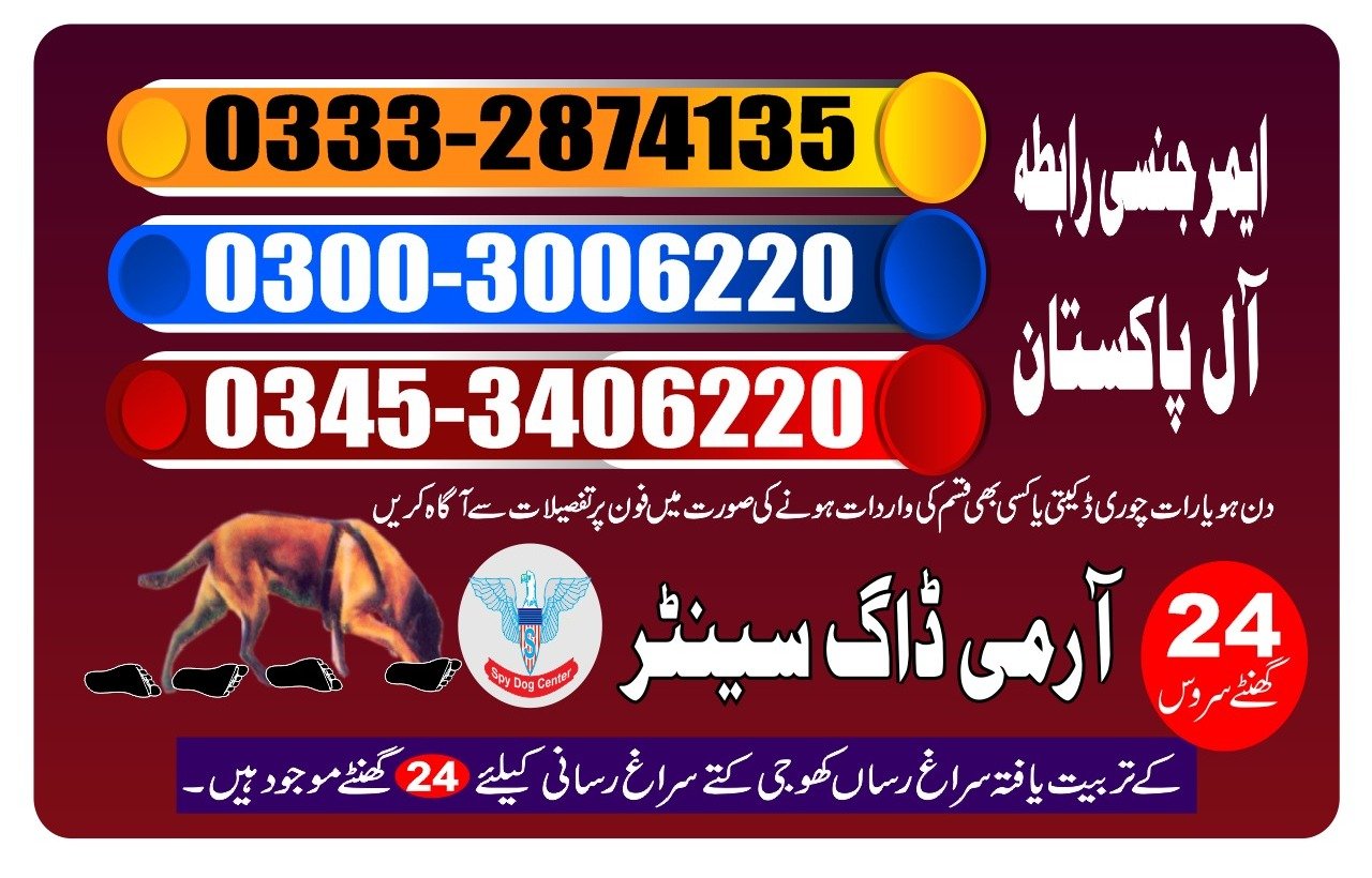 Army Dog center | Larkana24/7 | 03332874135