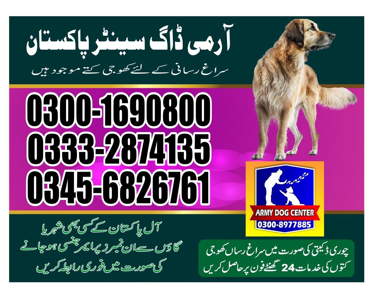Army Dog Center Jacobabad| Pakistan | 24/7 | 03332874135