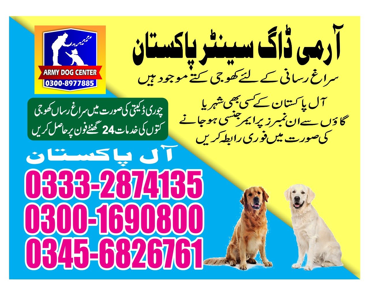 Army Dog Center |sawan Pakistan | 24/7 | 03332874135