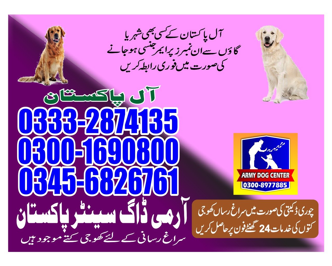 Army Dog center | | moro 24/703332874135