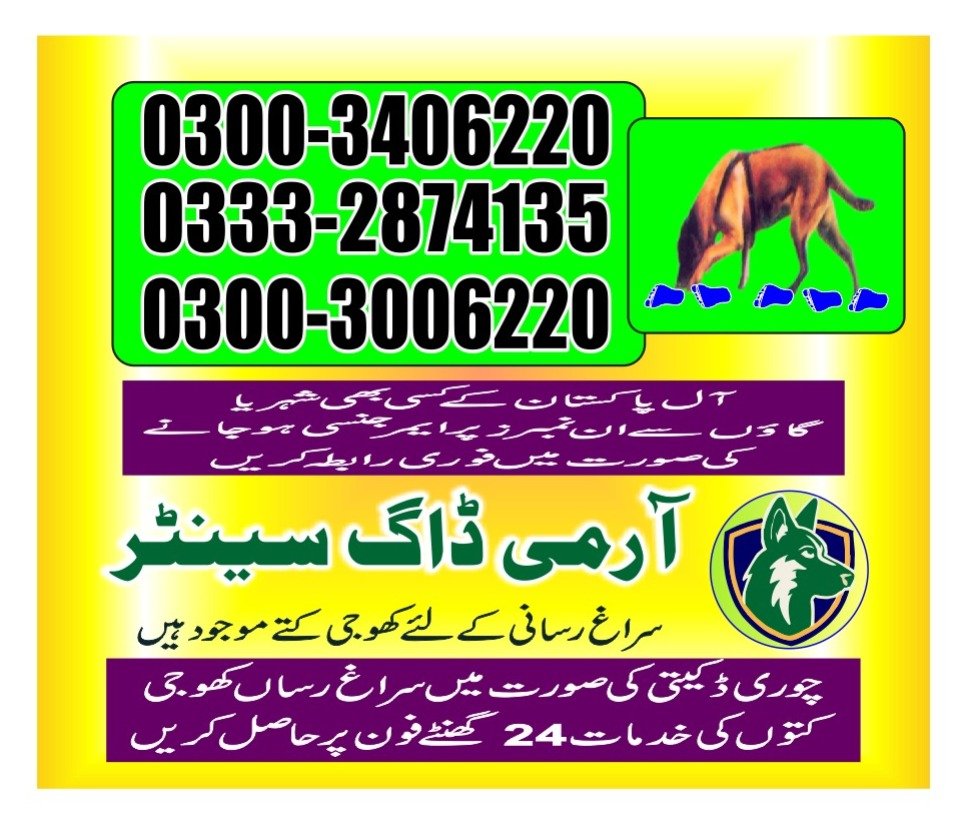 Army Dog Center 🐕 Sanghar   24/7 03001690800 03332874135