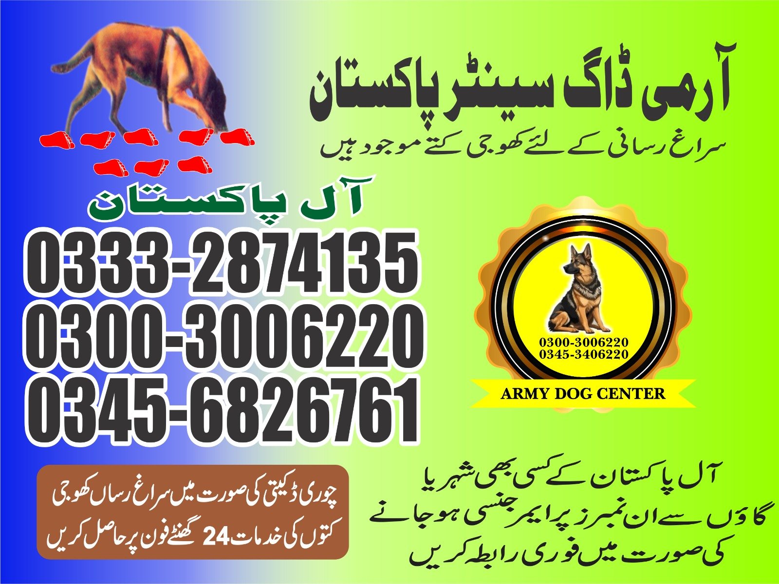 Army Dog Center | jamshoro Pakistan | 24/7 | 03332874135