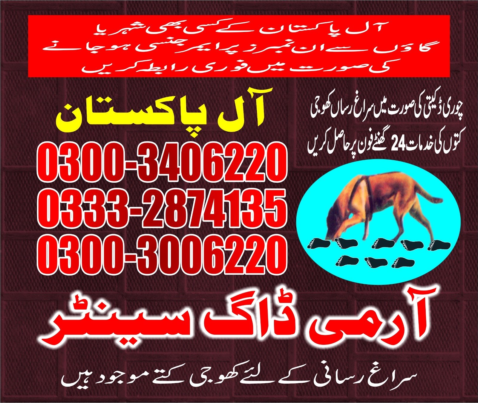 Army dog center |badin cantt  24/703332874135