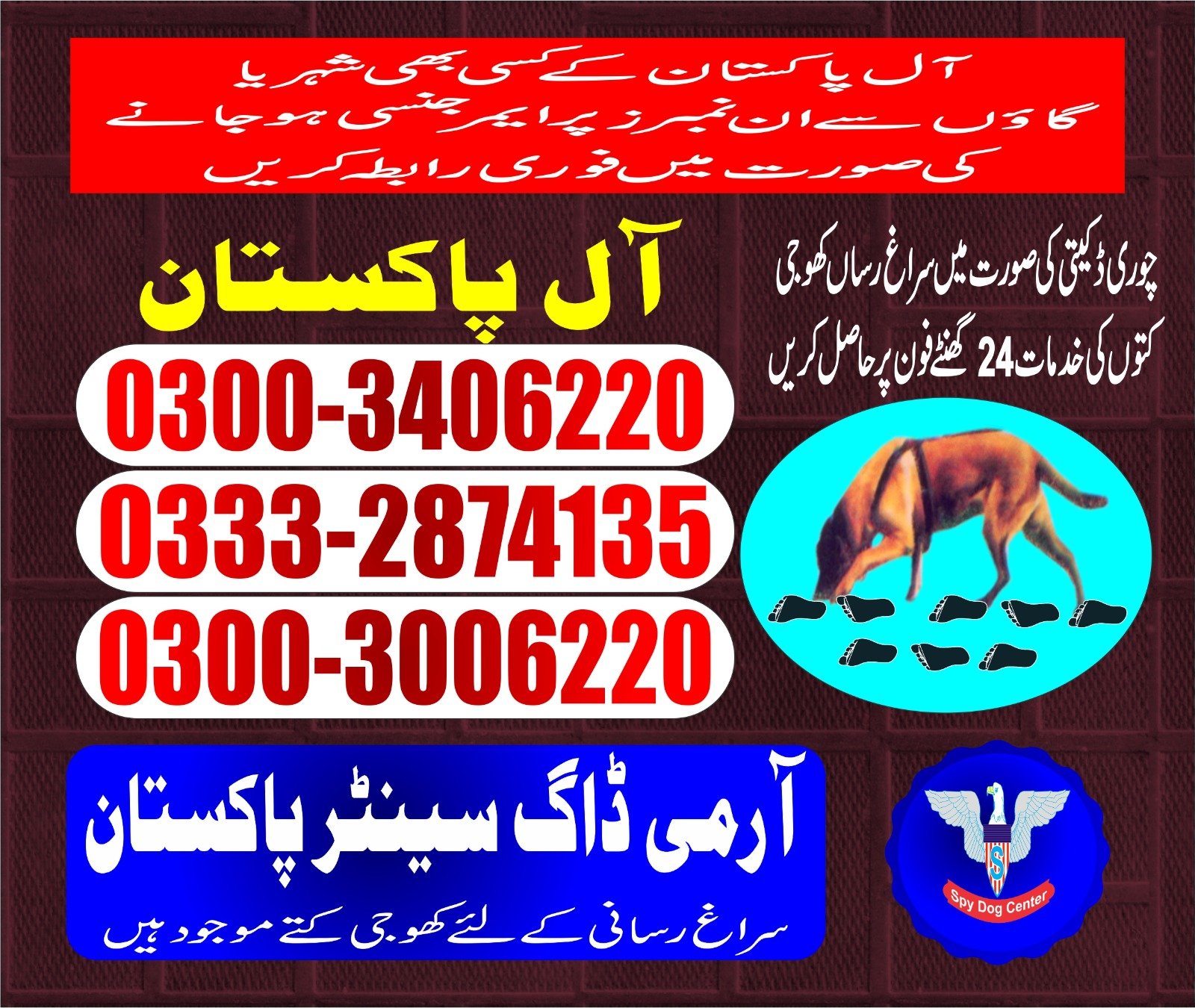 Army dog center | BLOCHISTAN | 03332874135