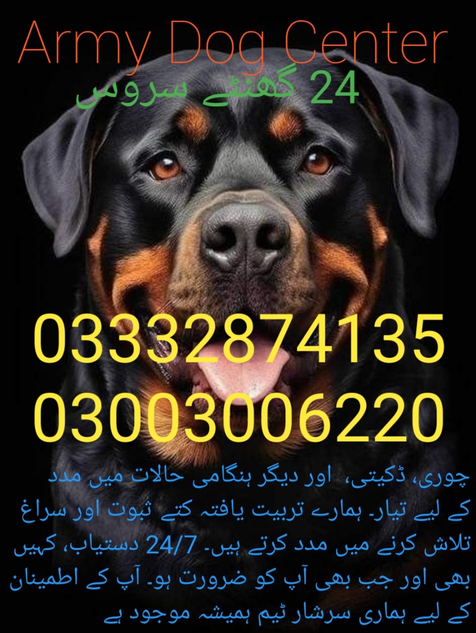 Army Dog Center 🐕 badin cantt 24/7 03001690800