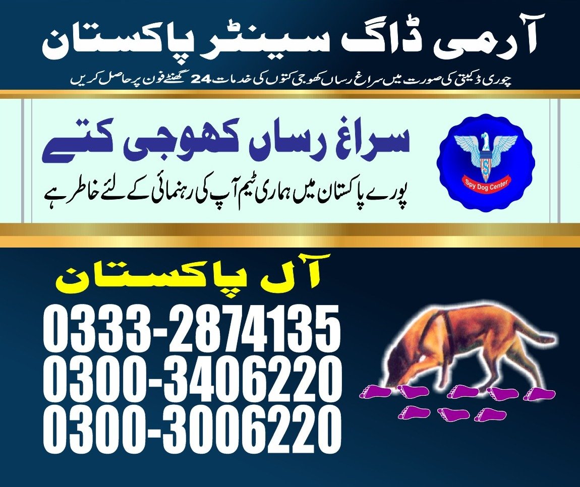 Army Dog Center |24/7 |all pakistan 03003406220