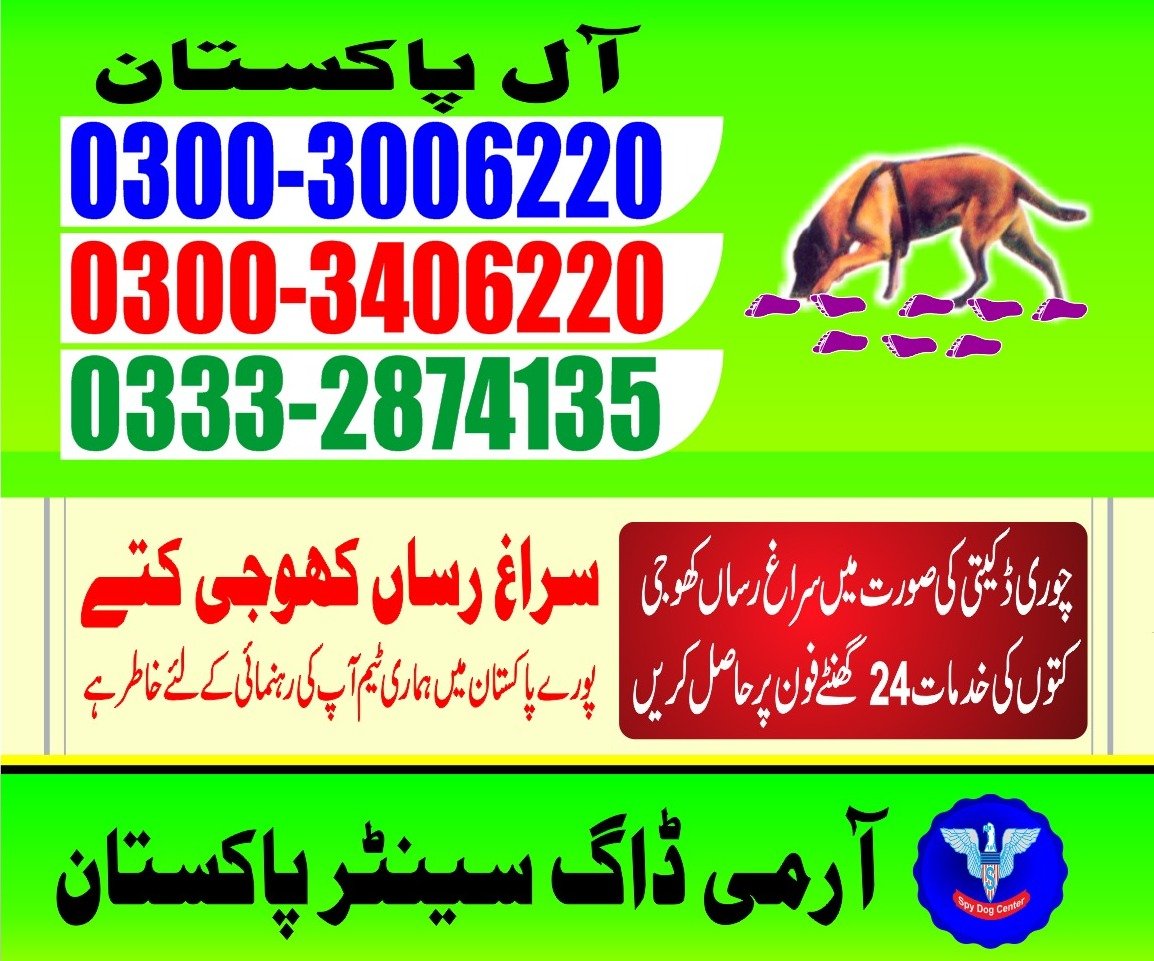 Dog Center 🐕 24/7  03332874135