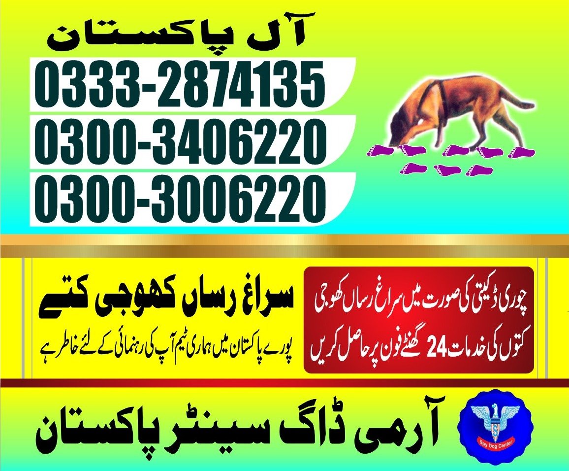 Army Dog center |all Pakistan 24/7| 03332874135