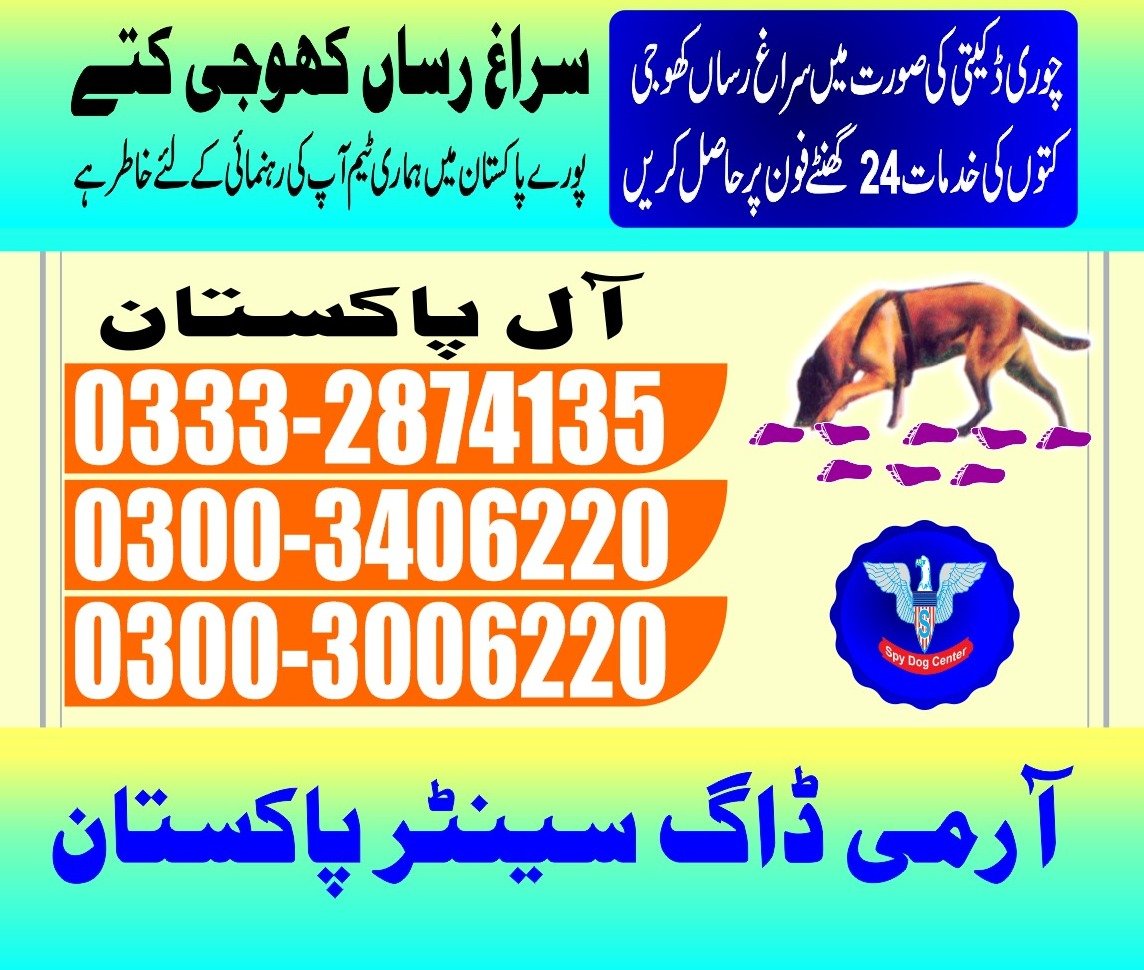 Army Dog Center | TandoAllahyar| 24/7 | 03332874135 | 03003406220