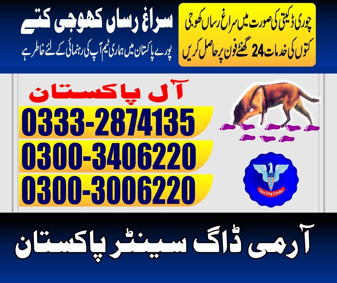 Army Dog Center |diplo Pakistan | 24/7 | 03332874135