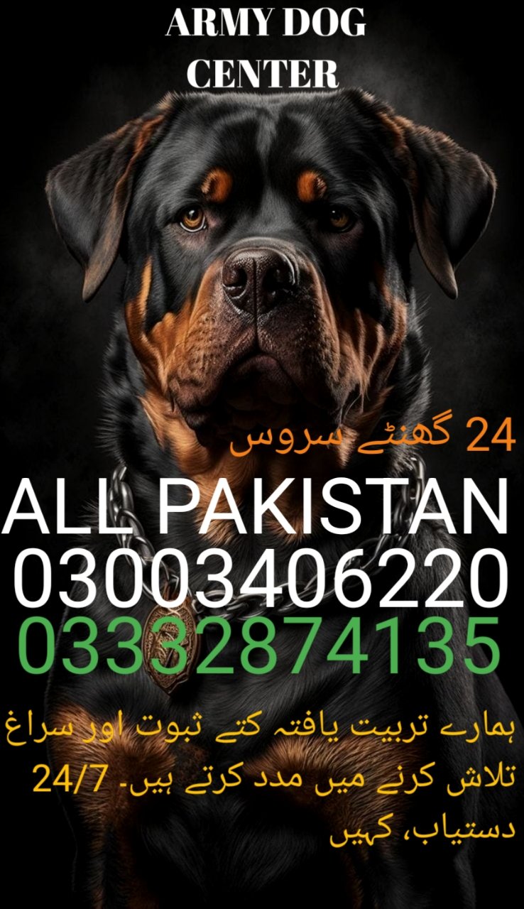 Army Dog Center 🐕  24/7 hub chowki 03001690800