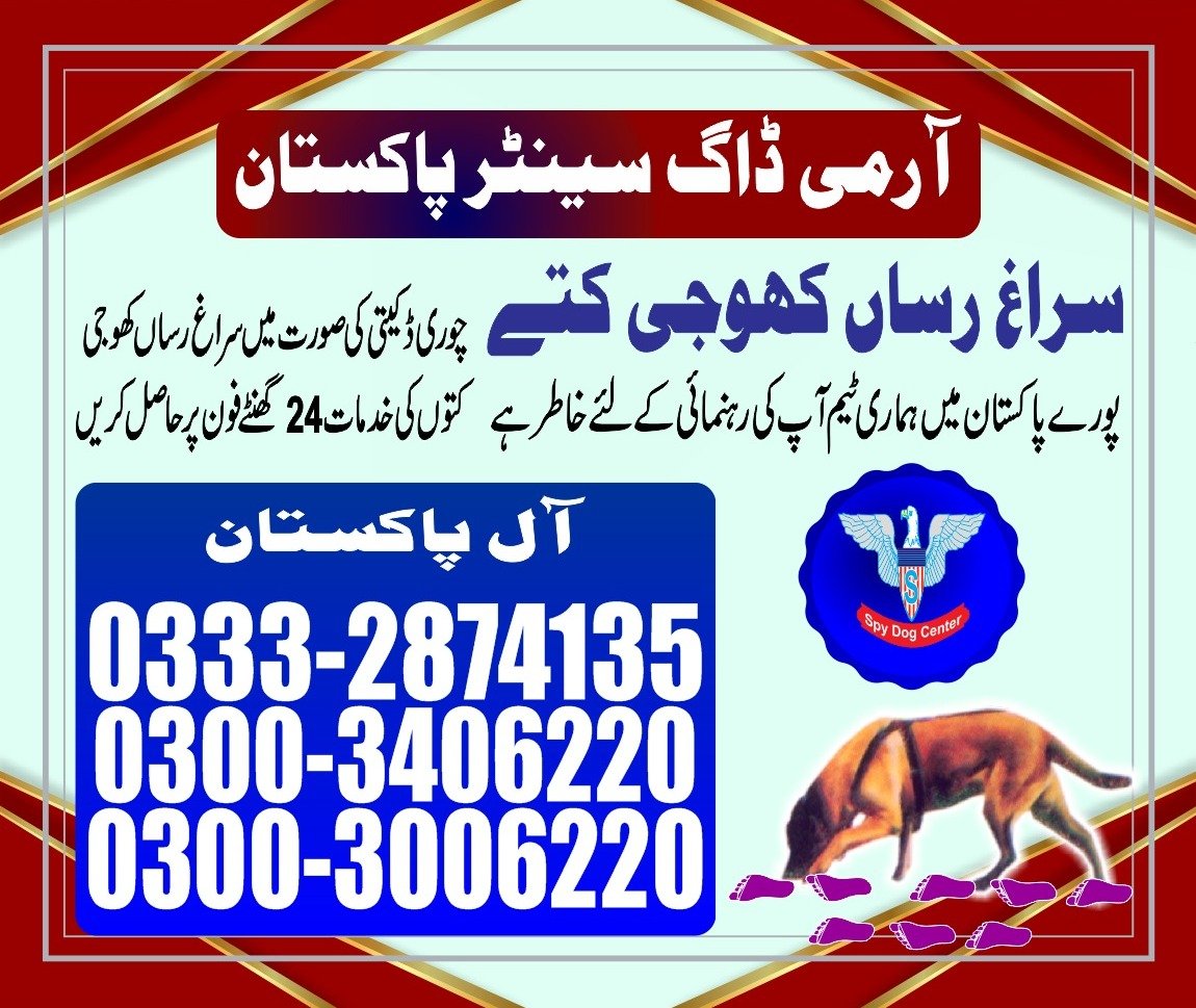 Army Dog Center Malir |  | 24/7 | 03332874135