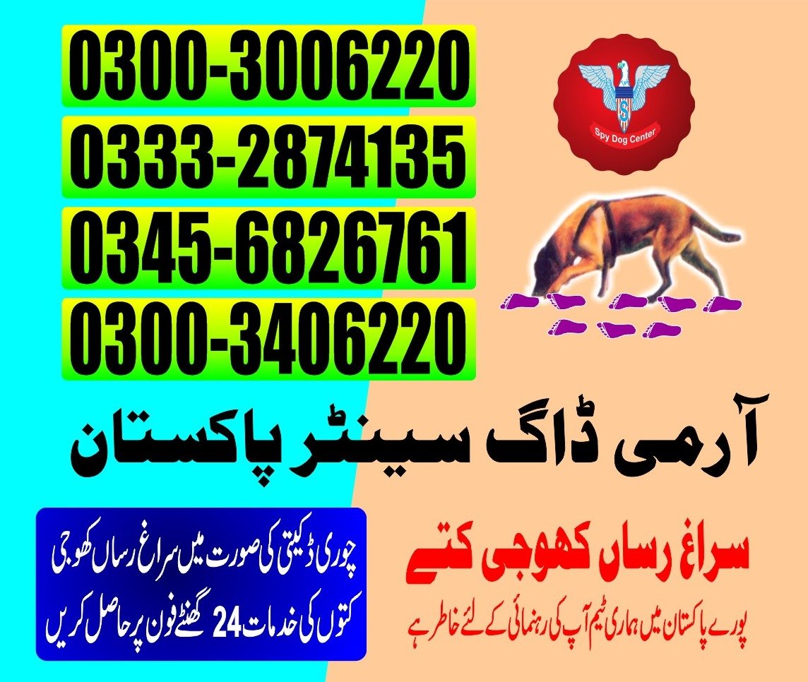 Army Dog Center 🐕 nashoro farooz   24/7 03001690800 03332874135