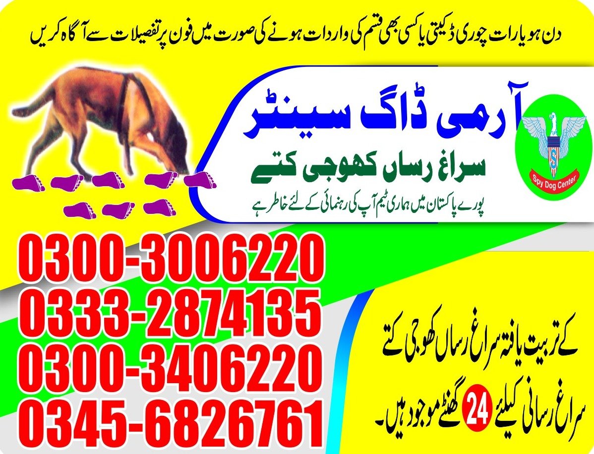 Army Dog Center 🐕 Umerkot 24/7 03001690800