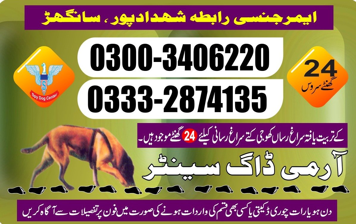 Army Dog Center 🐕 24/7 Sanghar Shahdadpur 03332874135