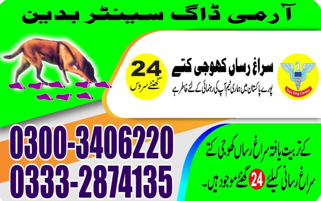 Army Dog Center badin| | 24/7 | 03332874135 | 03003406220