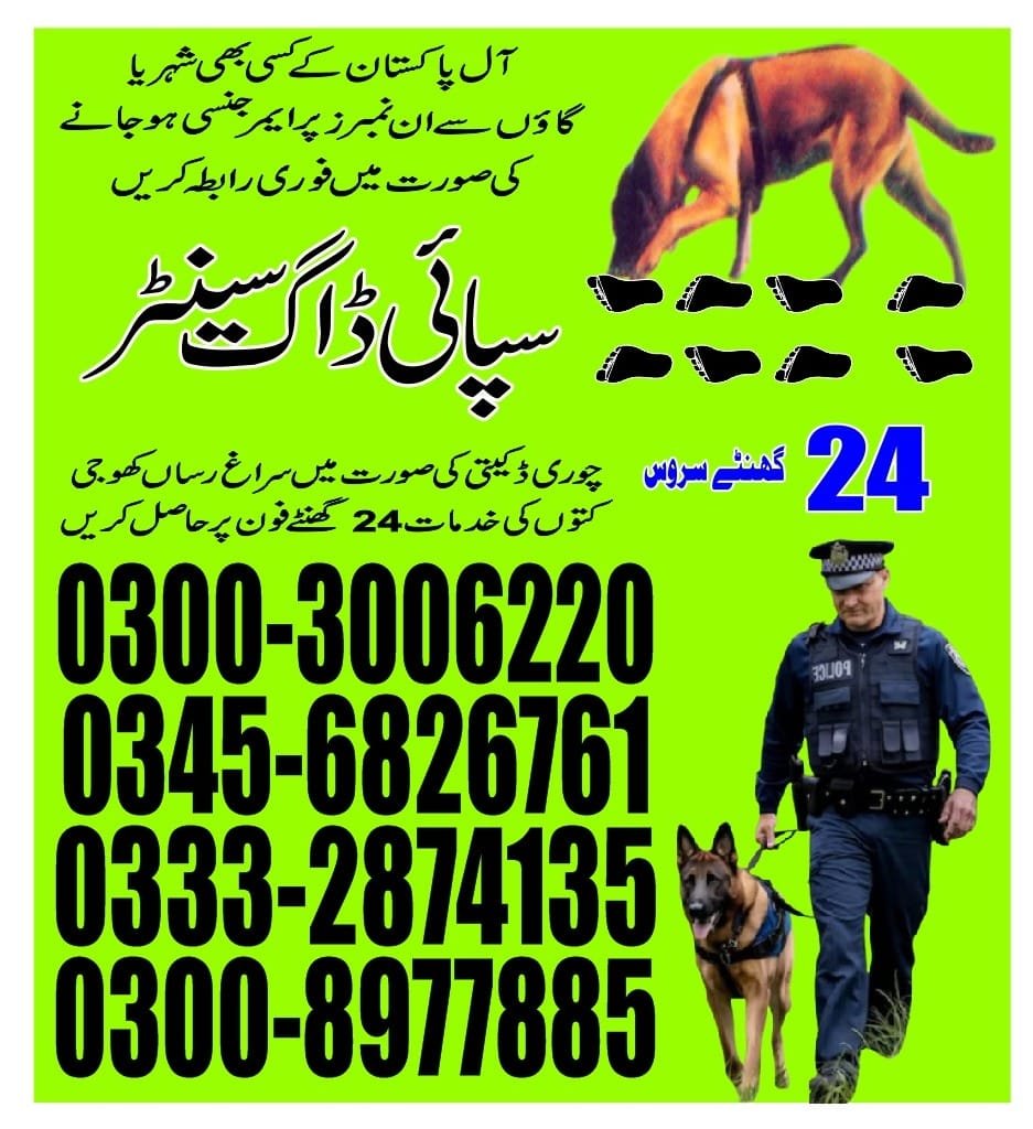Army Dog Center |dadu Pakistan | 24/7 | 03332874135