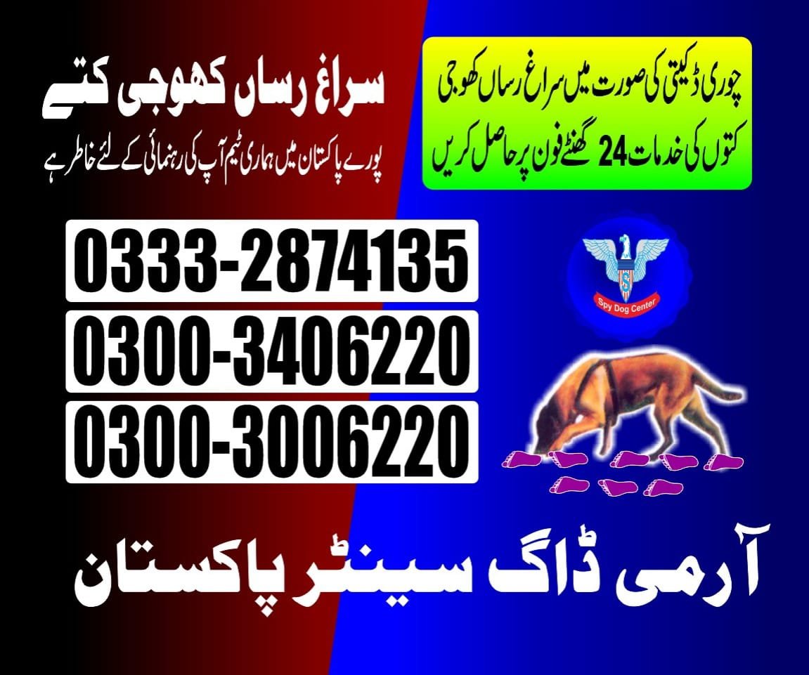 Army Dog Center 🐕 mirpurkhas  24/7 03001690800