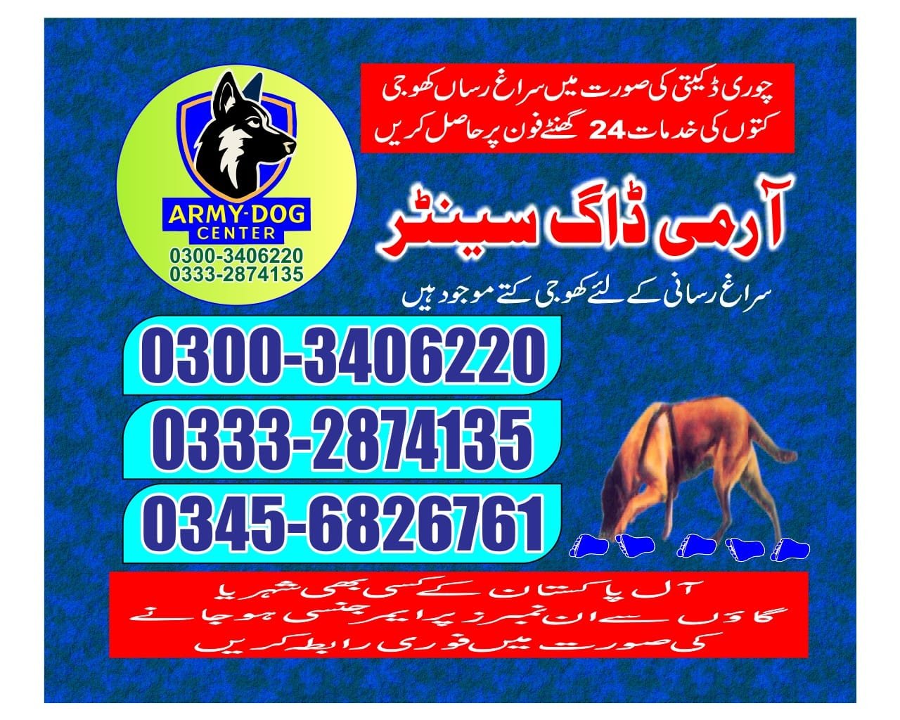 Army Dog Center 🐕  dadu 24/7 03001690800 03332874135